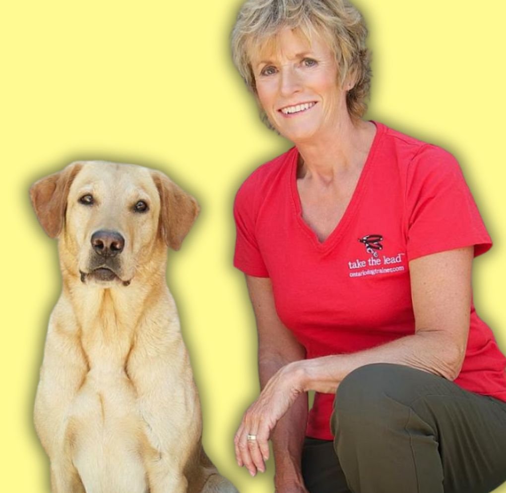 Karen Laws Client Case Study - 2
