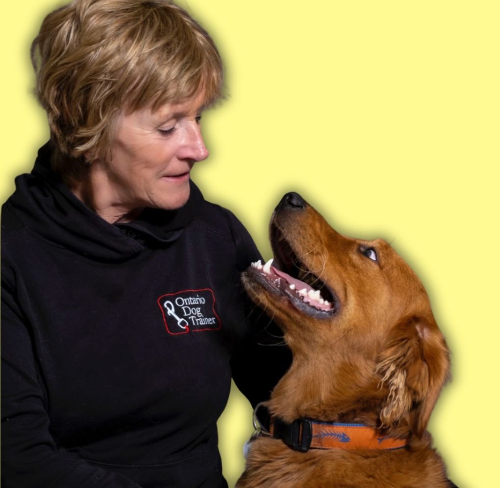 Karen Laws Client Case Study - 4